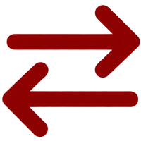 Shopify Migration